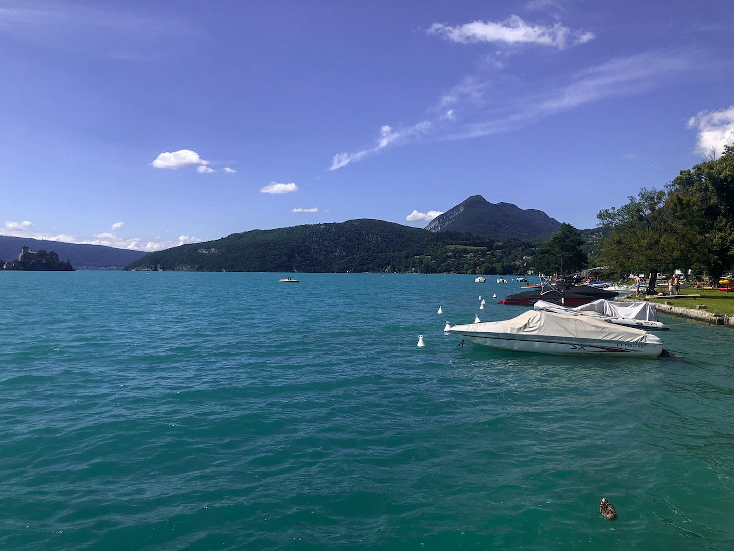 Journée team building au lac d’annecy pour Studio HB, agence web à Lyon