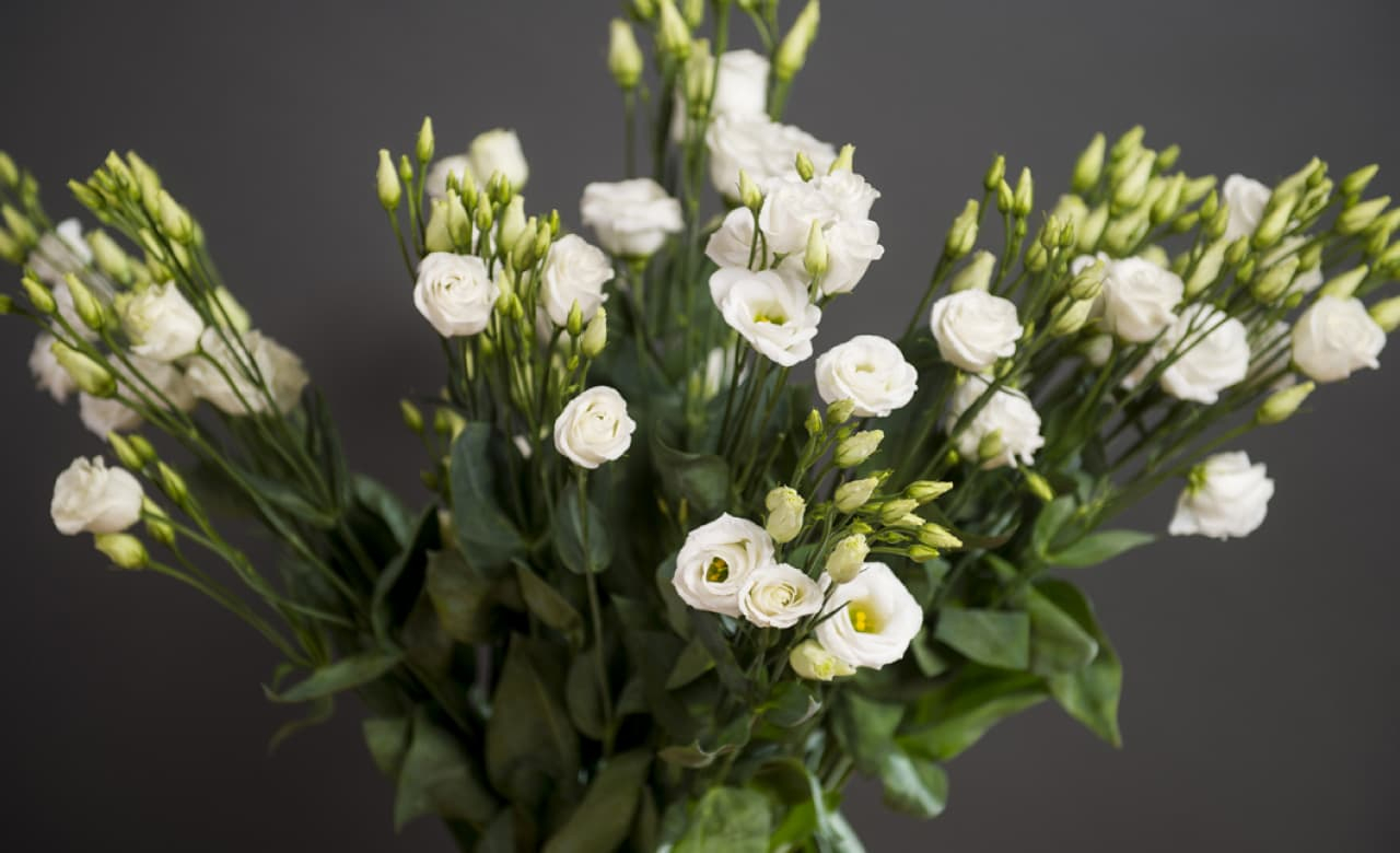Bouquet de fleurs - Studio HB